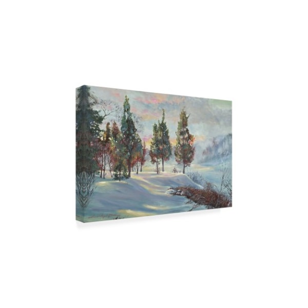 David Lloyd Glover 'Snowy Winter Dawn' Canvas Art,30x47